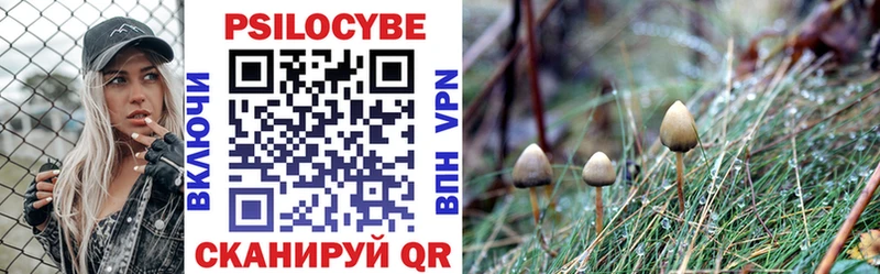 Псилоцибиновые грибы Psilocybine cubensis  Купить где  Шадринск 